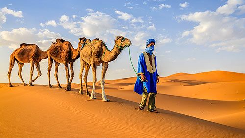 Camel Riding